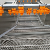 Yido hogedruk fruit- en groentewasmachine met ozon, voor aardappelen, sla en andere groenten, inclusief transportband.