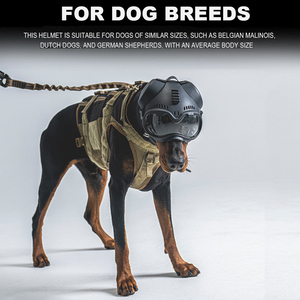 Casco Táctico para Perros K9 <span class=keywords><strong>de</strong></span> Alta Calidad con Gafas Antiviento, Antipolvo y Antivaho para Perros como el Pastor Belga, Pastor Holandés y Pastor Alemán - Product Image 4