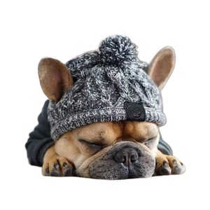 Gorro para Perro con Pompón, Gris, de Lana Tejida, para Invierno, para Bulldogs Franceses, Pugs y Perros Grandes, Ropa para Mascotas - Product Image 5