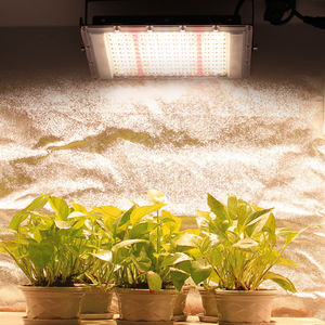 אקו220v 300w תאורה חממה לגדול מנורה מלאה ספקטרום צמחים מקורה צמח אור שמש - Product Image 3