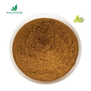 Бесплатный образец, Прямая поставка с завода, 100% натуральный экстракт филлантуса нирури, экстракт филлантуса - Product Image 2