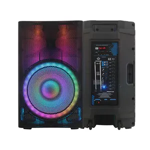 Full translucent speaker with flame light 2000W 15 inch bass active 2 way karaoke/PA system speaker audio system sound Bochina