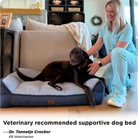 Coussin orthopédique d'été pour chien, épais, imperméable, avec housse amovible, forme carrée, en peluche douce Sherpa, pour petits animaux et chats
