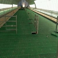 Venta Directa de Fábrica 2022: Piso de Plástico con Rejillas para Cría de Ovejas y Cabras