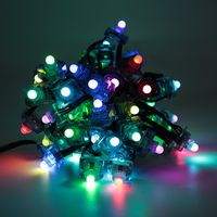 Chaîne de points LED RGB numériques IP67 résistantes aux intempéries, contrôlables individuellement, pour la décoration des arbres de Noël et des festivals