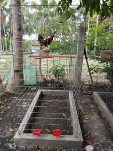 Tấm Lưới Thép Cứng Mạ Kẽm Cho Chó Chó Và Bút Bay Gà - Product Image 2