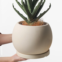 Pot de fleurs en céramique bombé mat non émaillé, style Wabi Sabi, blanc crème, pour plantes de bureau, décoration intérieure, vente en gros