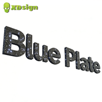 Enseigne 3D personnalisée XDsign à LED, effet ciel étoilé, lettres lumineuses à commande Bluetooth, signalétique extérieure certifiée CE, décoration lumineuse