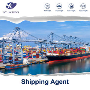 Servizio Porta a Porta DDP, Agente Logistico Professionale per Spedizioni dalla Cina (Xiamen) verso <span class=keywords><strong>Regno</strong></span> Unito/Canada/Spagna/Messico/Cile - Product Image 3