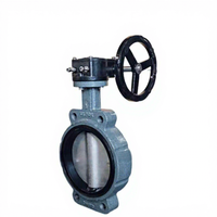 Vanne papillon marine type CS/BS/AS, joint NBR, disque en acier inoxydable 304, DN50-DN300 pour navires, avec garantie 1 an, pour l'eau