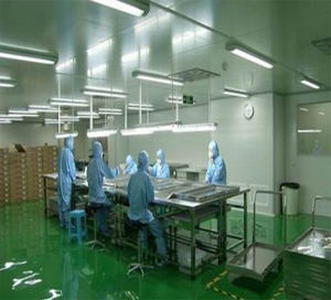 Kök ayak mantar sapı kurutulmuş şitake mantarı bacak 3-5cm çin kurutulmuş <span class=keywords><strong>shiitake</strong></span> mantar kök tozu - Product Image 5