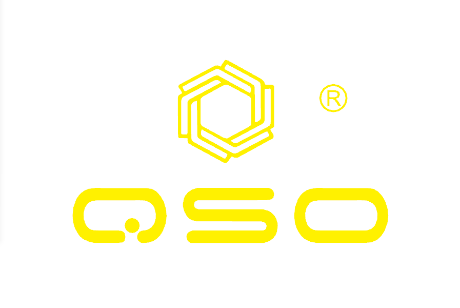 Shenzhen Qishou Technology Limited