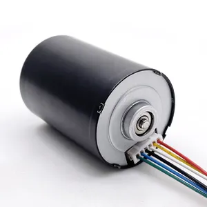 TEC 3650 High Torque 12V 24V DC Brushless Motor For Pump