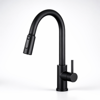 Robinet de cuisine monocommande noir mat avec douchette extractible et bec haut, à poser sur plan