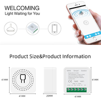 Zigbee Mini Akıllı Anahtar Modülü 16A Röle Kesici Alexa Google Home Sesli Kontrol Smart Life WIFI Ev Otomasyonu için OEM ODM