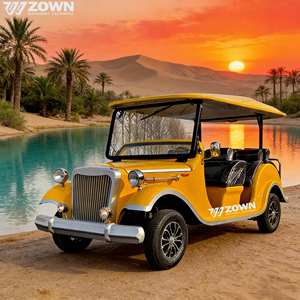 Coche Eléctrico Clásico Vintage de 8 Plazas Directo de Fábrica, Certificado CE, Buggy Retro Antiguo para Paseos Turísticos en Parques, Hoteles y Resorts - Product Image 1