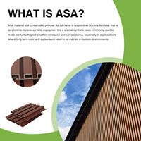 200*24mm harga pabrik tahan air menyarankan pelapis Dinding Pvc co-extrusiongrille Antislip Panel ASA luar ruangan