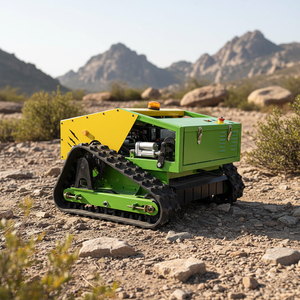 厂家直销遥控卷轴式割草机 花园履带式割草机 汽油割草机 带CE认证 - Product Image 6