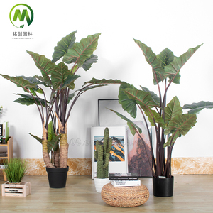 Plantas Verdes de Simulación, Bonsái Artificial, Plantas en Maceta, Árbol de Taro Arcoíris para Decoración de Hogar, Oficina, Centro Comercial y Tienda - Product Image 2
