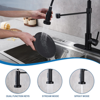 Robinet de cuisine robinet évier robinet retirer pulvérisateur cuisine mitigeur ressort mitigeur