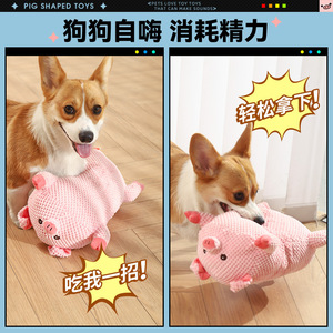 Jouet en peluche parlant cochon rose pour chiots, chien, Teddy, Corgi, Bichon Frisé, jouet à mâcher pour la dentition, jouet couineur pour animaux de compagnie - Product Image 4