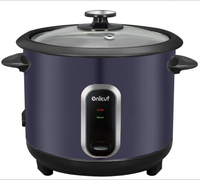 2025 Le nouveau cuiseur à riz droit à moule privé offre plusieurs options de capacité pour les cuiseurs à riz de 1,0 l, 1,5 l, 1,8 l, 2,2 l et 2,8 l