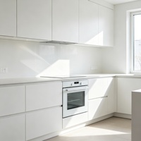 Vidrio Templado para Puerta de Horno de Alta Temperatura de 4 mm, 5 mm, 6 mm y 8 mm para Microondas y Horno, Uso Doméstico y Comercial