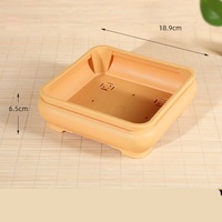 Pots de bonsaï carrés en plastique de conception classique de 18.9cm pour cactus et arbre succulents