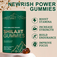 Gummies de Shilajit de l'Himalaya Premium OEM en Gros 3000mg avec 75% d'Acide Fulvique pour l'Énergie et la Vitalité, Emballées Individuellement