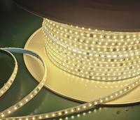 Bande LED étanche en silicone 2835 AC 220V 110V 100M/ROULEAU 1000M/ROULEAU 3000K 6000K IP65 IP68 pour extérieur