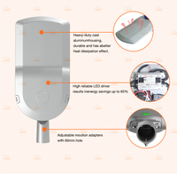 Lámpara LED de Calle de Grado Profesional de 100W 150W 200W 300W para Carreteras, Carreteras Principales, Proyectos de Iluminación Municipal, Cabeza de Cobra, ETL DLC