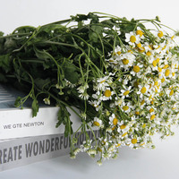 Bunga Krisan Chamomile Potong Segar Putih 60-80cm Laris 2024 untuk Penggunaan Rumah & Pernikahan, Hiasan Ruang Tamu yang Stylish