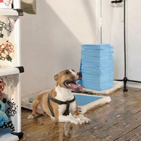 Pads d'entraînement durables Paws & Tails pour chiens et chats, réutilisables, imperméables, en nylon, poids personnalisé, pour les propriétaires d'animaux