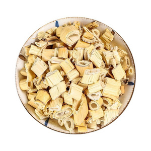 Rizoma de Caña de Paja / Rizoma de Caña Común / Rizoma de <span class=keywords><strong>Phragmites</strong></span> <span class=keywords><strong>Phragmites</strong></span> <span class=keywords><strong>Australis</strong></span> (Cav.) Trin. Ex Steud. - Product Image 5