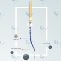 Limes rotatives endodontiques électriques en NiTi de qualité supérieure, haute flexibilité, SX-F3, marque JINGC, consommables dentaires de classe I pour le traitement des canaux radiculaires