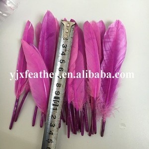 Pas cher coloré <span class=keywords><strong>D</strong></span>écoratif Blanchi teint Plumes <span class=keywords><strong>d</strong></span>'<span class=keywords><strong>oie</strong></span> à vendre - Product Image 5