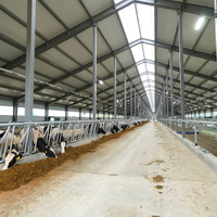 Structure de bâtiment laitier en acier galvanisé de haute qualité avec poutre de toit métallique