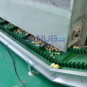 Équipement industriel de déshydratation et de traitement des fruits : Convoyeur à mailles, machines de nettoyage, de découpe et de transformation des pêches et citrons - Product Image 6