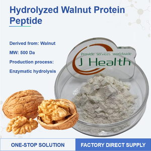 JULYHEALTH Supply Hydrolyzed <strong>Walnut</strong> Protein Peptide 500D <strong>Brain</strong> Health Supplement Powder Health Food Grade Vacuum - Product Image 1