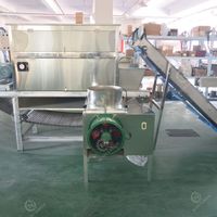 Ligne de production industrielle automatique de machine à éplucher l'ail en acier inoxydable avec un taux d'épluchage de 95 % pour le traitement de l'ail