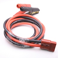 Câble silicone 2 broches personnalisé de 30cm avec connecteur de batterie 50A pour prise de charge rapide électrique EV