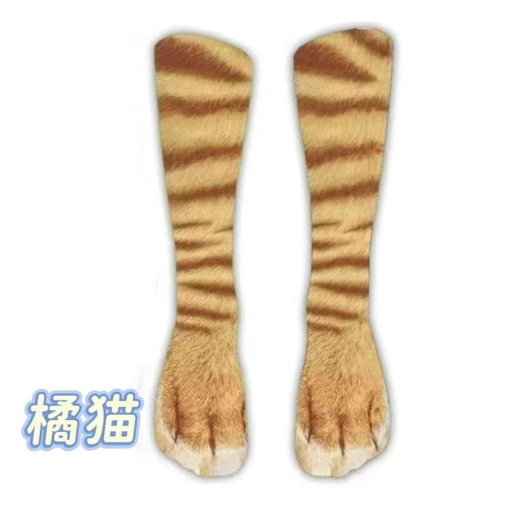 Chat orange