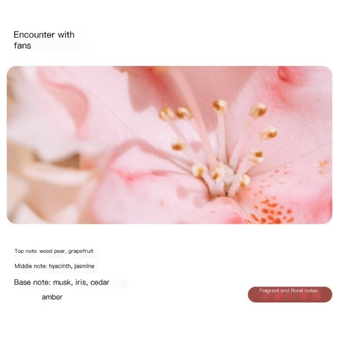 Encounter