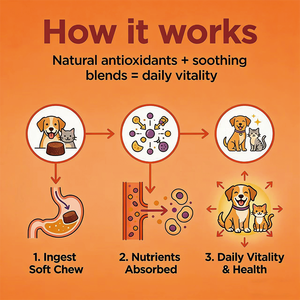 OEM ODM Marque Privée Huile de Saumon Probiotiques Soutien Immunitaire Soulagement des Démangeaisons Peau et Pelage Chiens Chats Friandises à Mâcher Souples Absorption Rapide Naturel - Product Image 4