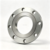Bride en acier inoxydable 316L forgée, résistante à la corrosion, pour raccord de tuyauterie industrielle