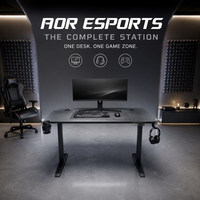 Bureau électrique à moteur unique AOR, réglable en hauteur, pour ordinateur et gaming, assis-debout, pour bureau à domicile, vente en gros usine