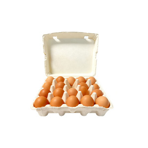 Cartón para Huevos de Pulpa de Un Solo Uso, Bandeja Compartimentada para Empaque de Huevos, Resistente a Impactos - Product Image 1