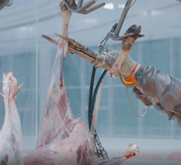 Ligne d'abattage rituel des moutons et ligne de transformation, projet d'abattoir de moutons de bout en bout, équipement d'abattoir, outils d'abattage