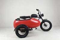 Bicicleta Eléctrica de 3 Ruedas con Neumáticos Anchos y Sidecar, Bicicleta Eléctrica con Asistencia al Pedaleo para Adultos, para Viajes con Pasajeros y Mascotas