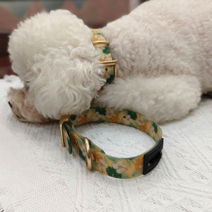 Suministros para mascotas, de perro de Pvc Collar, sublimado en blanco impreso, bonito logotipo personalizado duradero, conjunto de collar de correa de goma impermeable para perro - Product Image 4